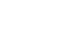 Logo E-Taurus