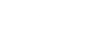 Logo MS-Tore